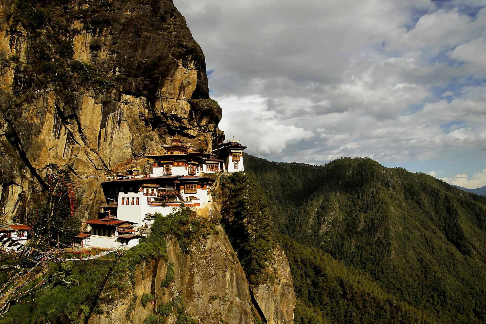 Jigme Dorji National Park a popular place in bhutan