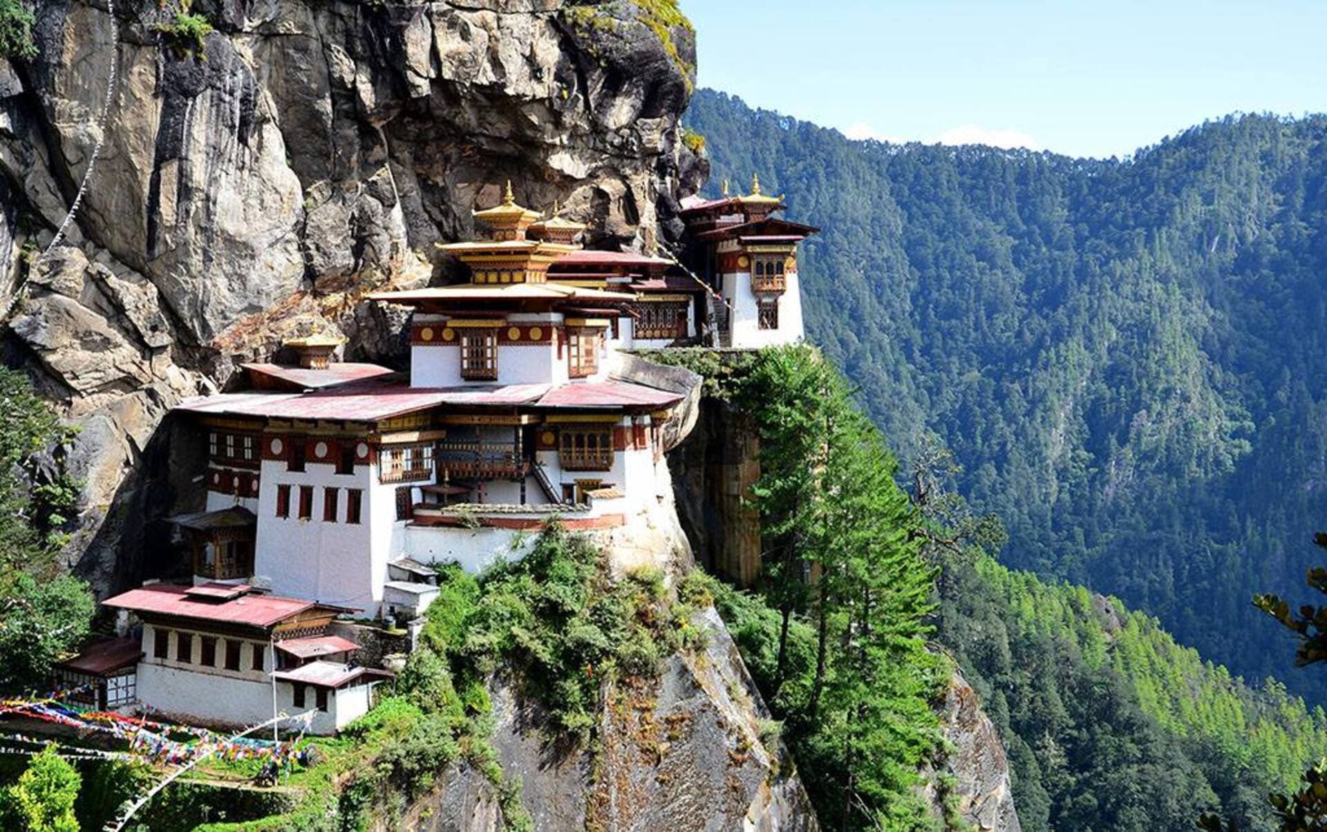 hotel,resort and homestay in bhutan