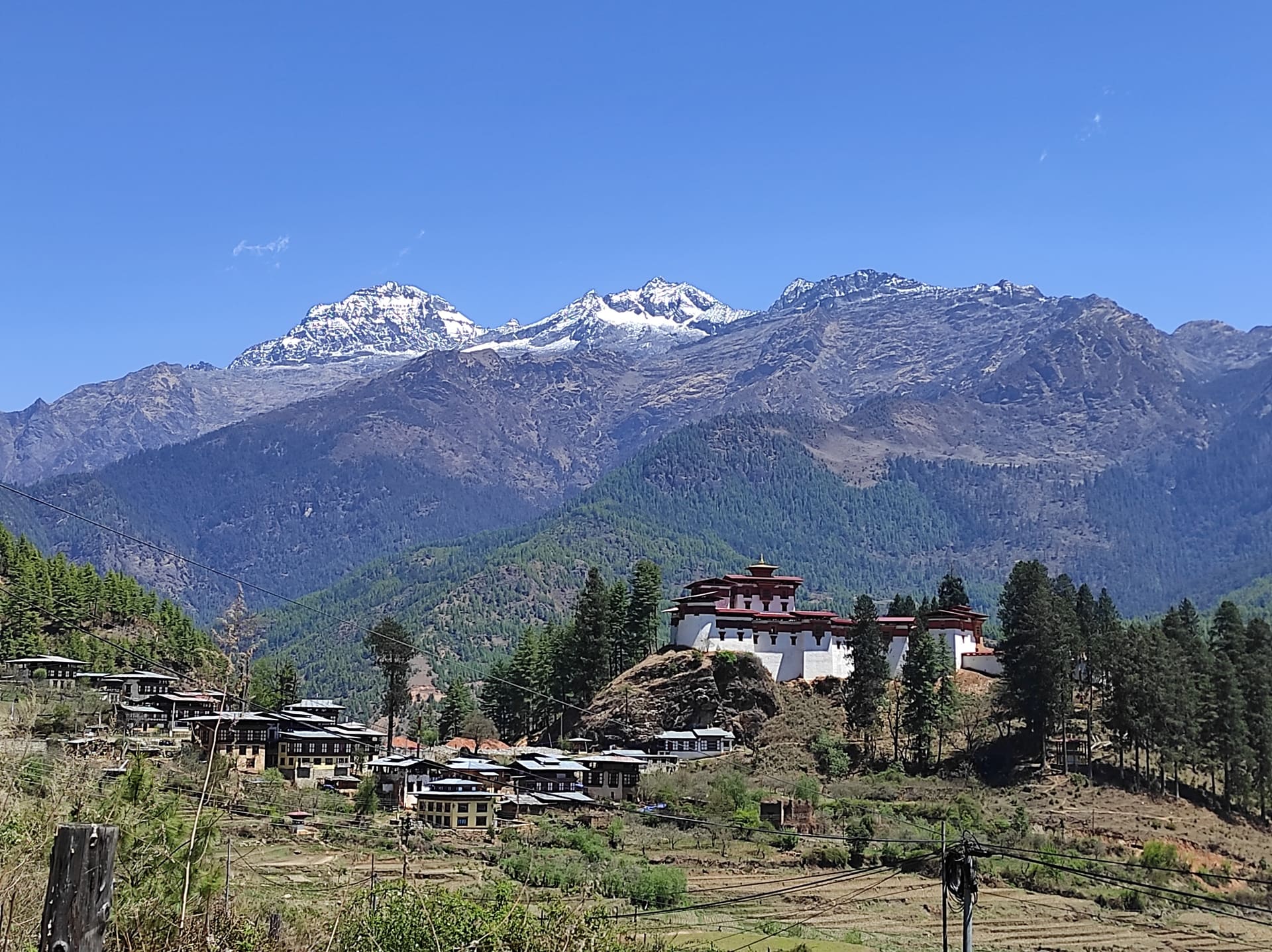 hotel,resort and homestay in bhutan